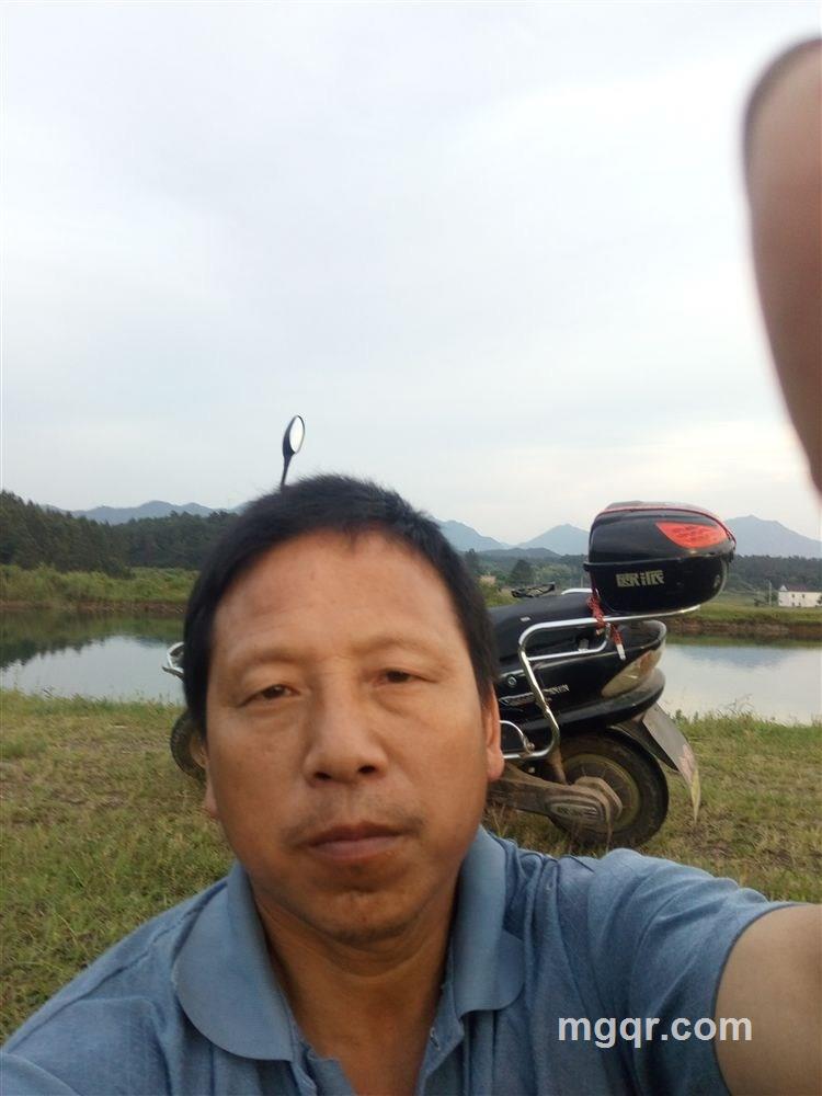 霜雪暗香的头像