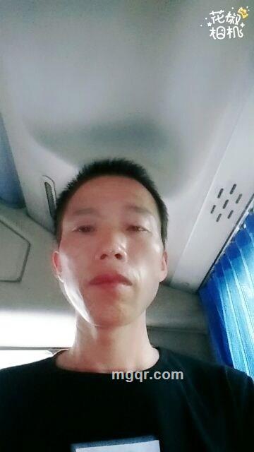 流浪的狼的头像