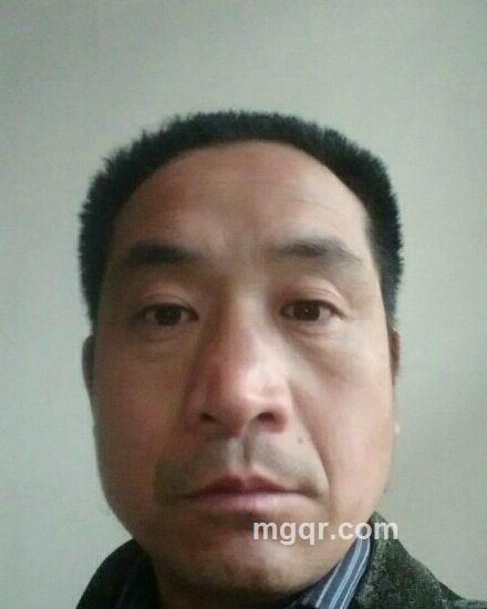 新不了情的头像