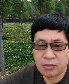 石头它爹的头像