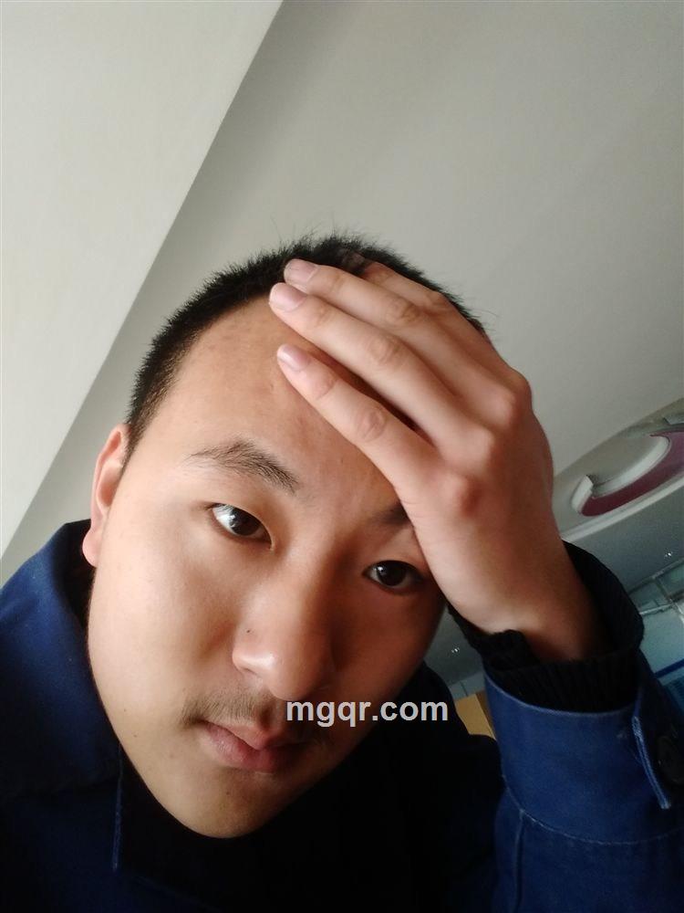 大象的头像