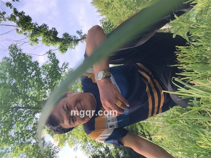 酒呀新塔木的头像