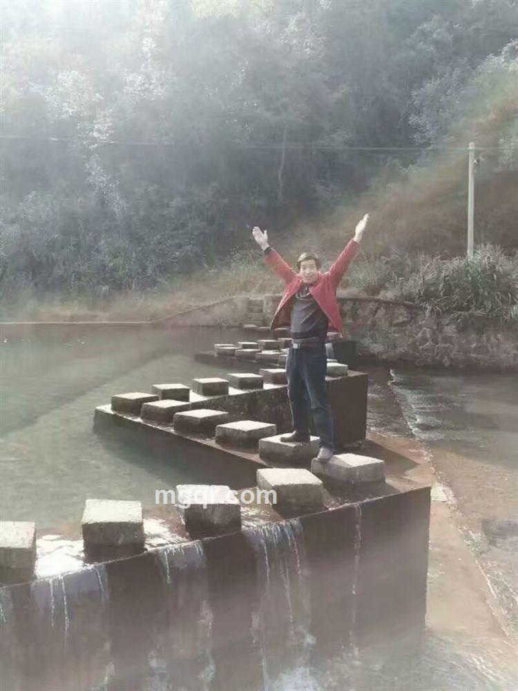 金戈铁马的头像