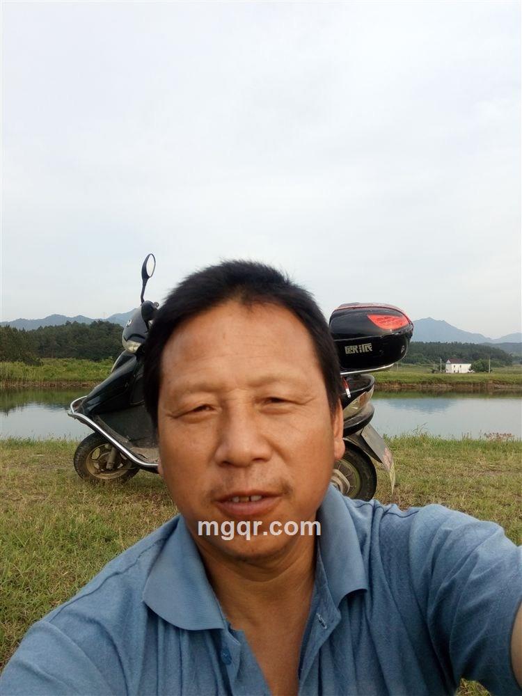 霜雪暗香的头像