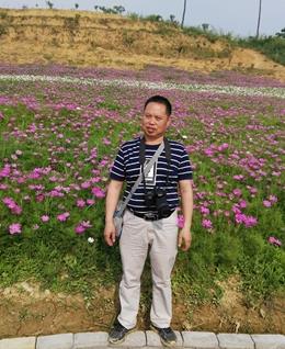 春风化雨雨的头像