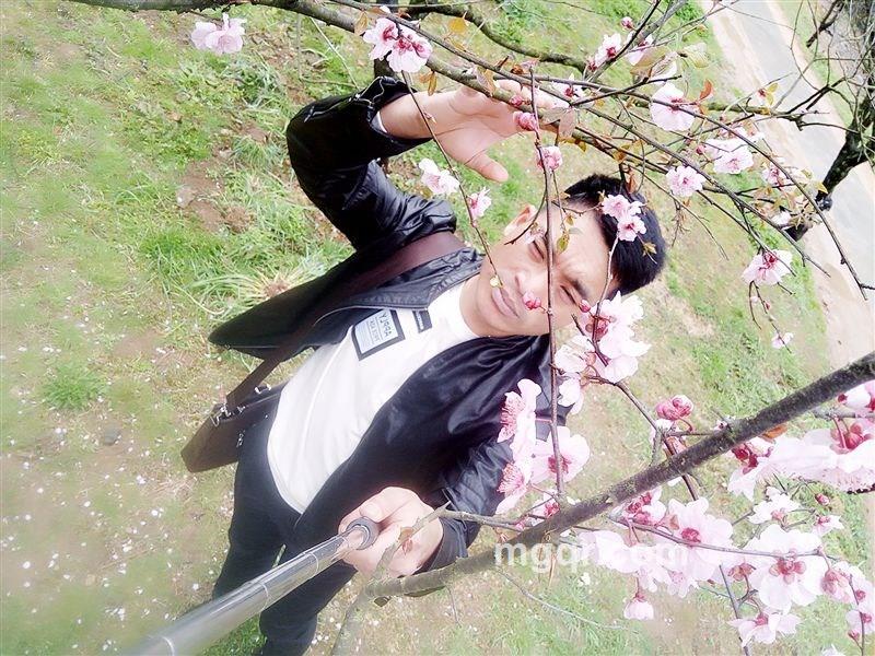 雪狼孤独的头像