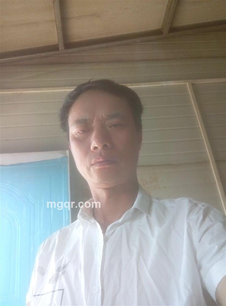 真心实意的头像