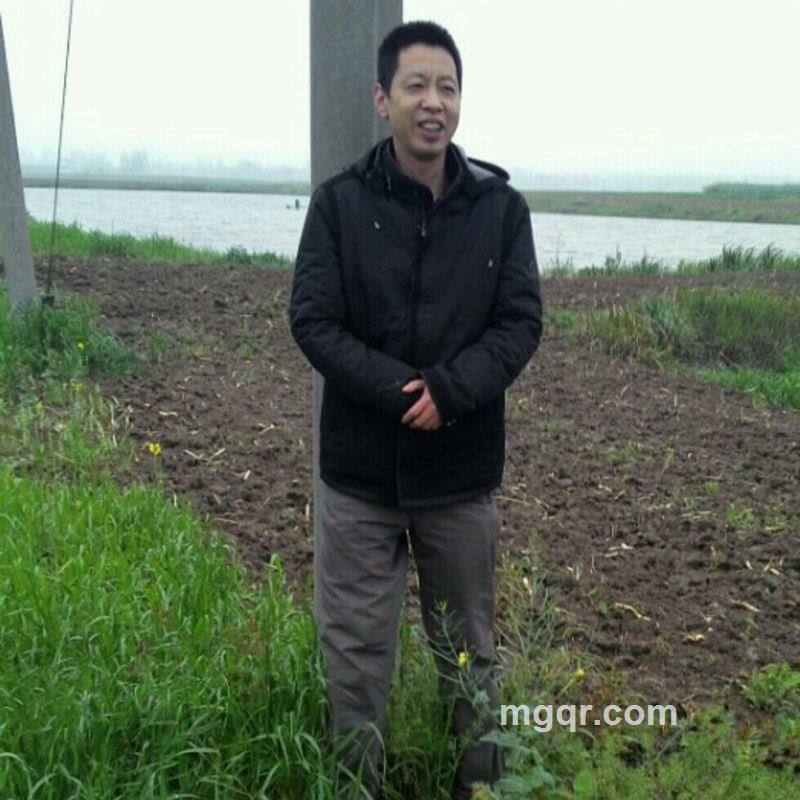 来自荆州的狼的头像