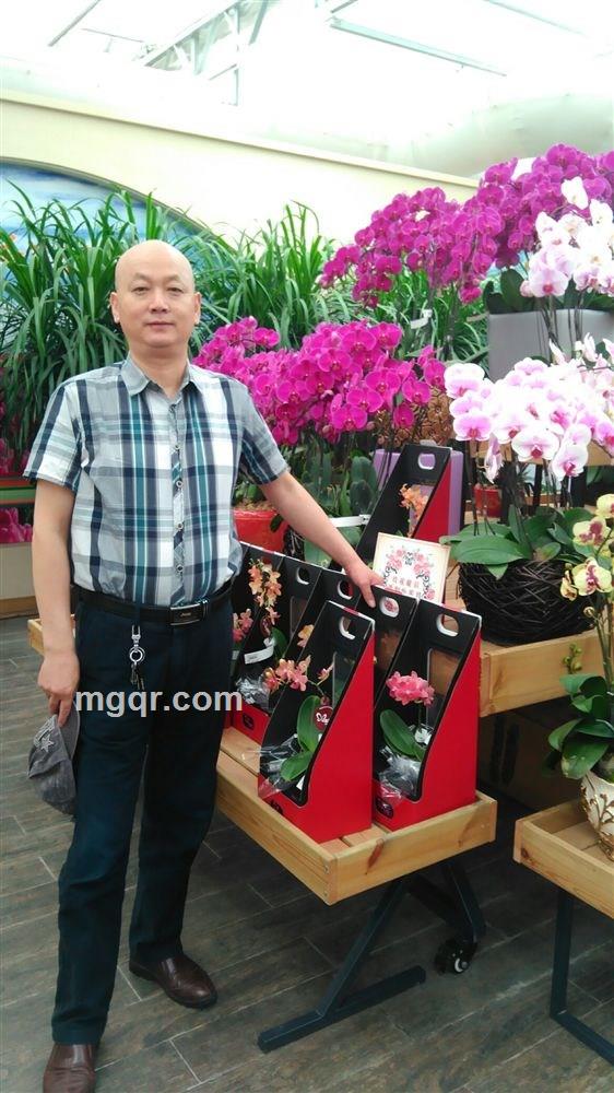 健康是福的头像