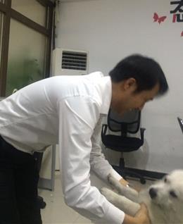 q851q133413的头像