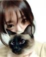 猫一样的乖乖的头像