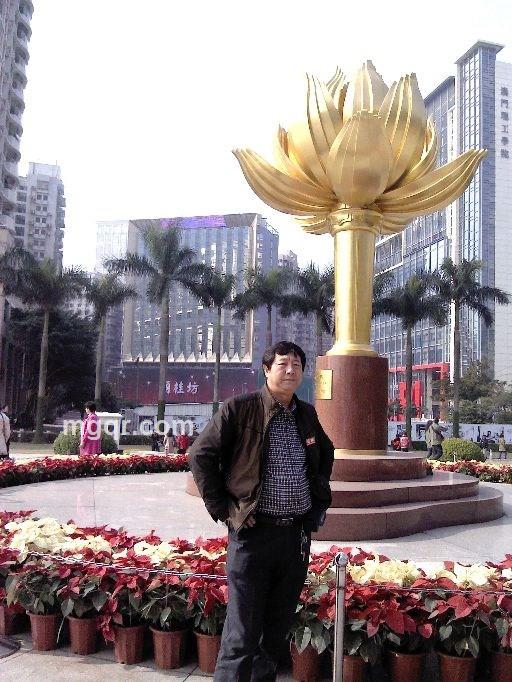 仼树的头像