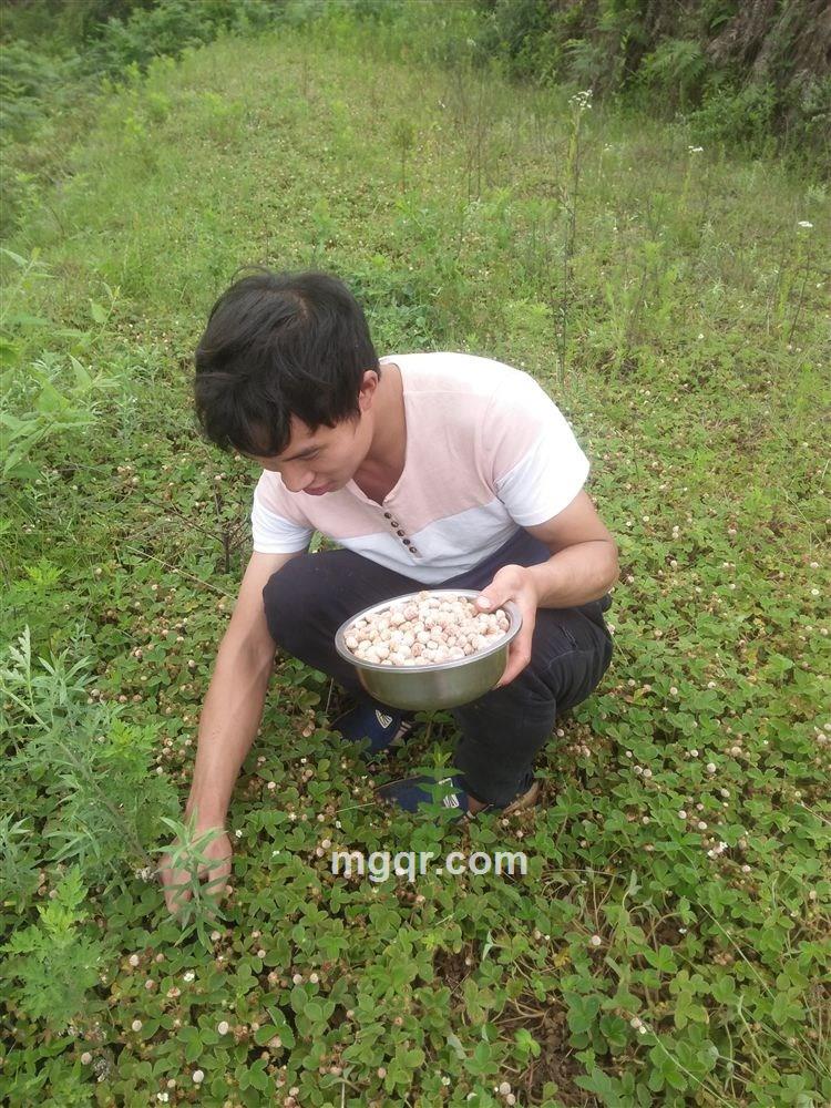 床前的你的头像