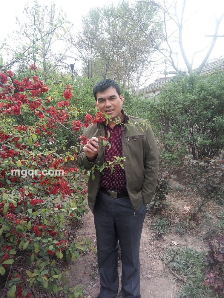 我是孤独人的头像