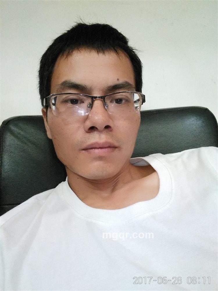 飞起来的白马的头像