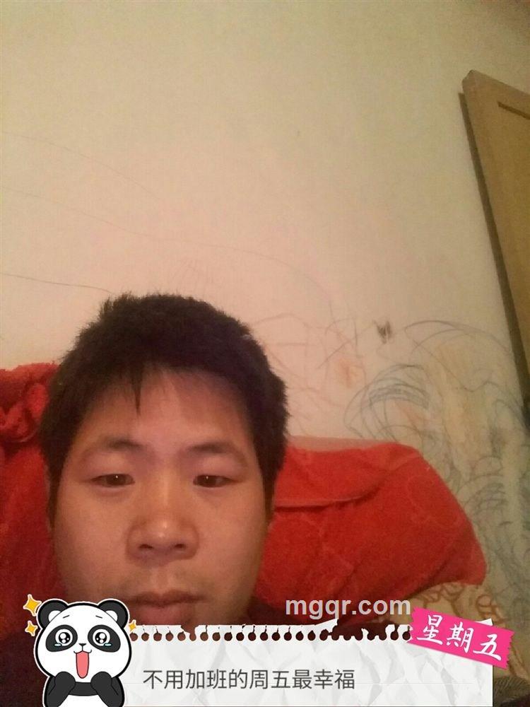 爱不需要理由的头像