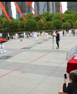 永远的港湾庇护港的头像