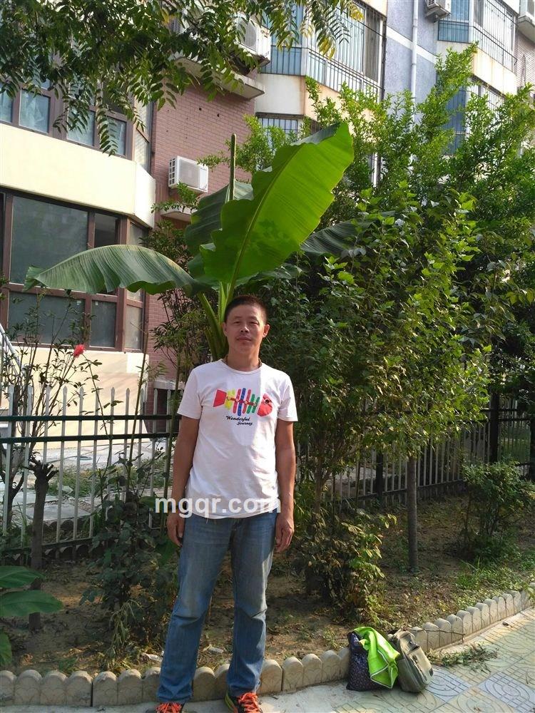 明天的微笑的头像