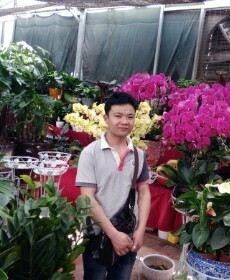 懂你的我的头像