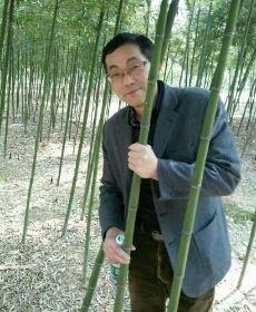 缘来是你的头像