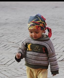 有了体温的鱼的头像