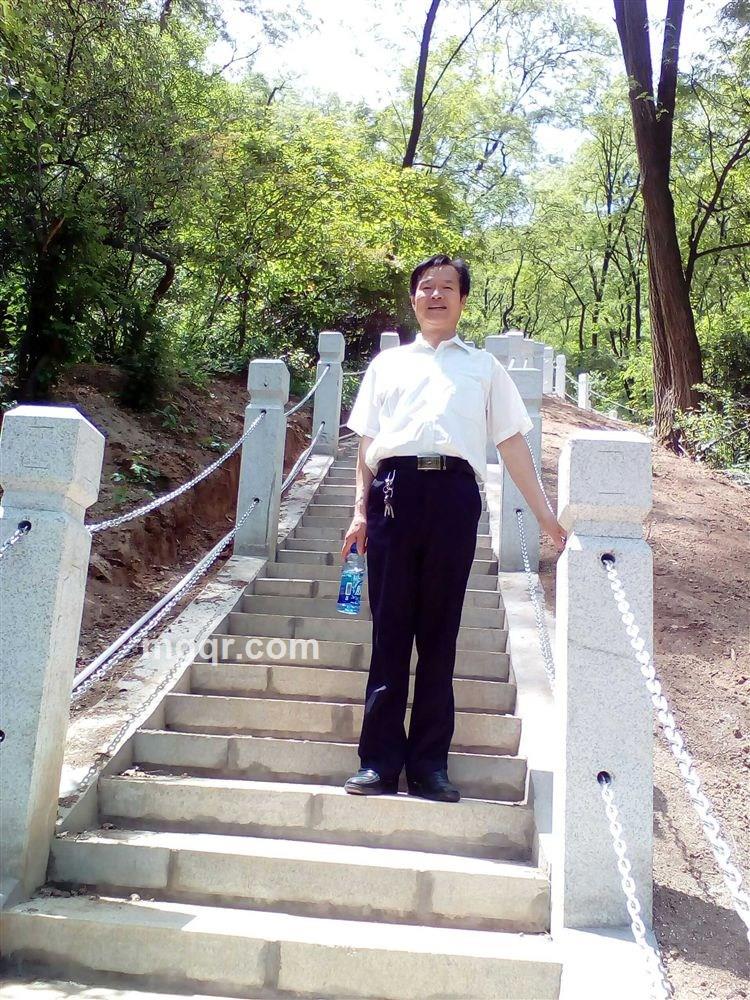杨柳的头像