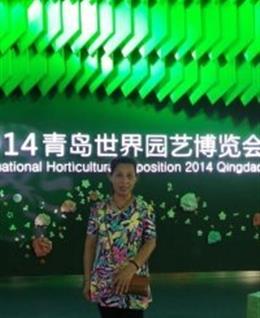 荷兰花的头像
