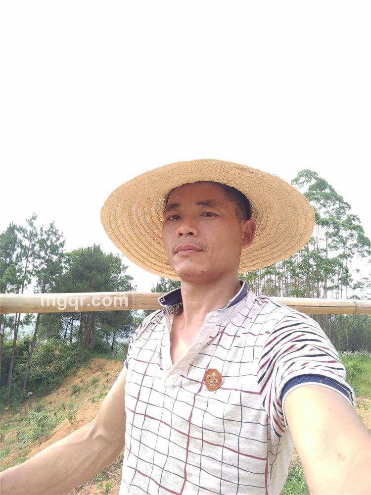 东方不败的头像