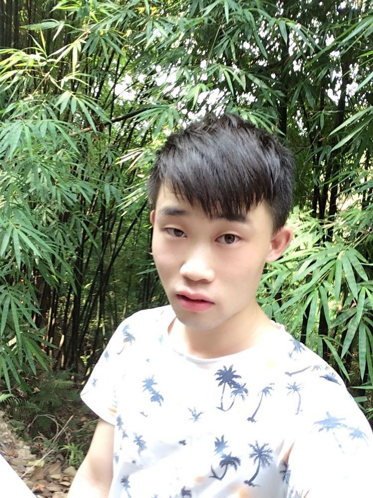 该有的自由的头像