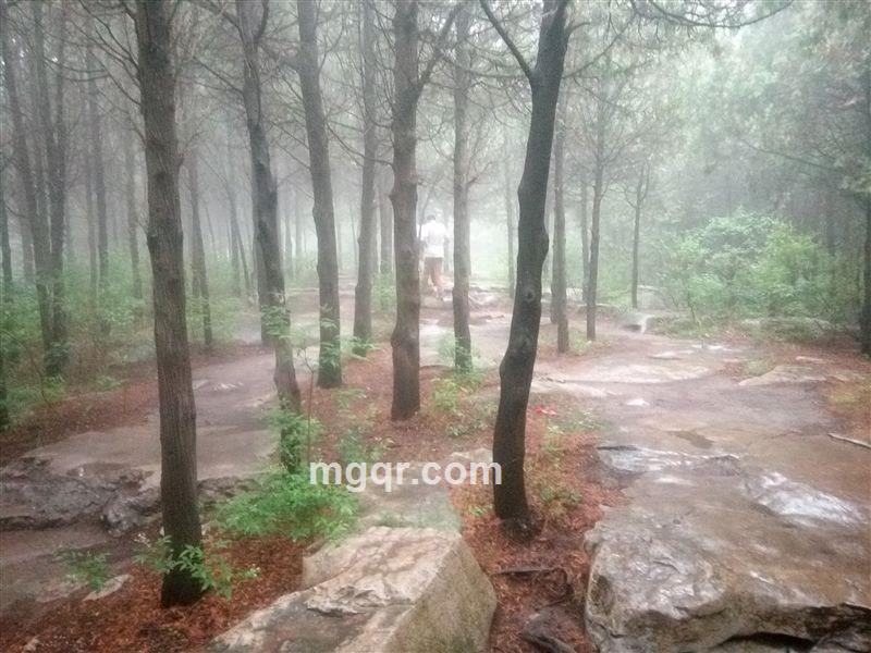 我心无悔的头像