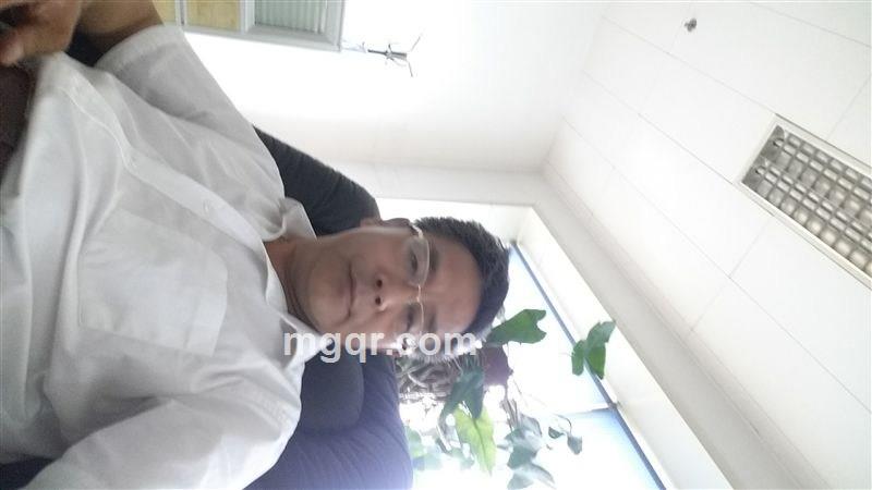 皇家像树的头像