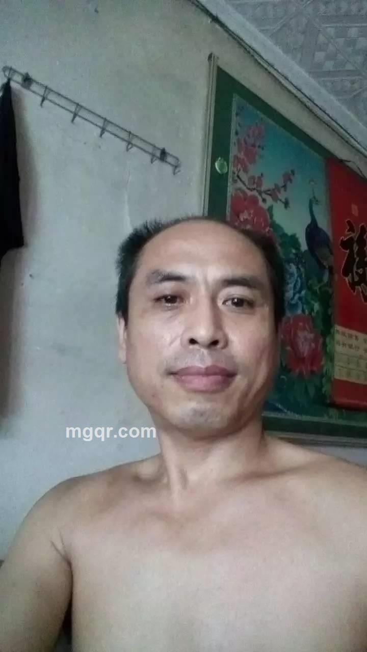 一阵风来了吗的头像