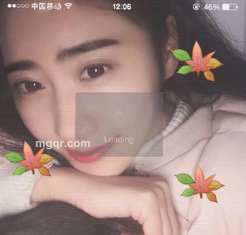 凤与歌姬的头像