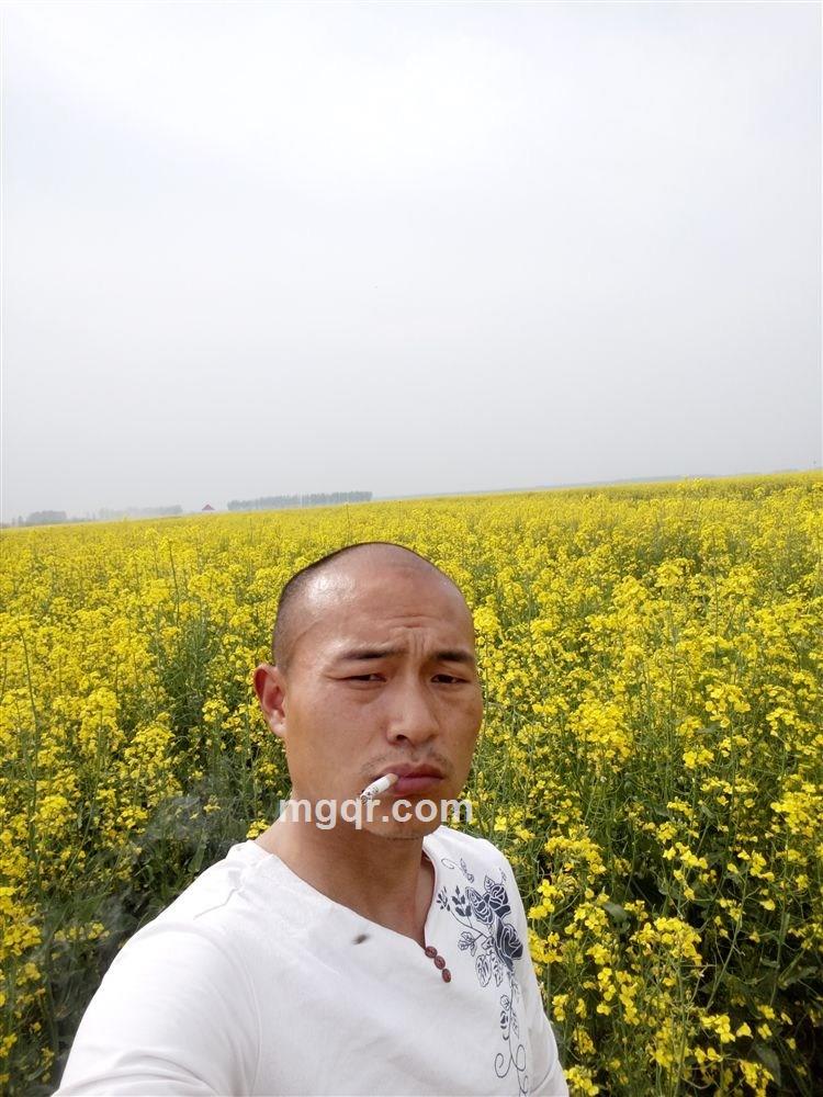 云端漫步的头像