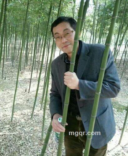 谁懂我的心的头像