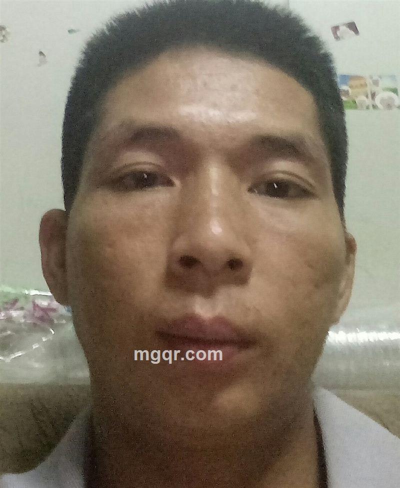 粗茶胆饭的头像