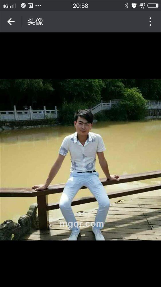 大漠孤鹰的头像