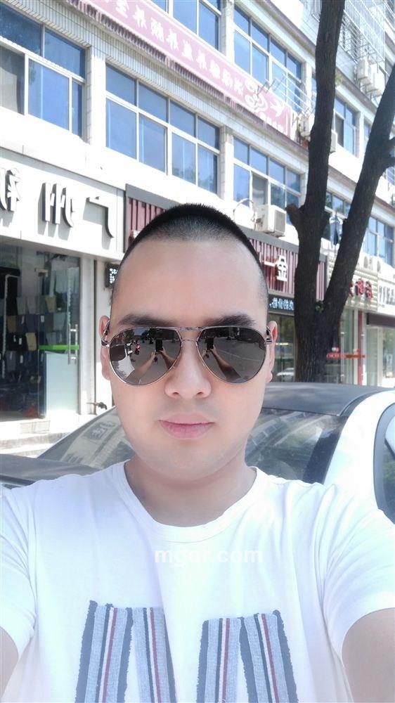 爱吃鱼的猫的头像