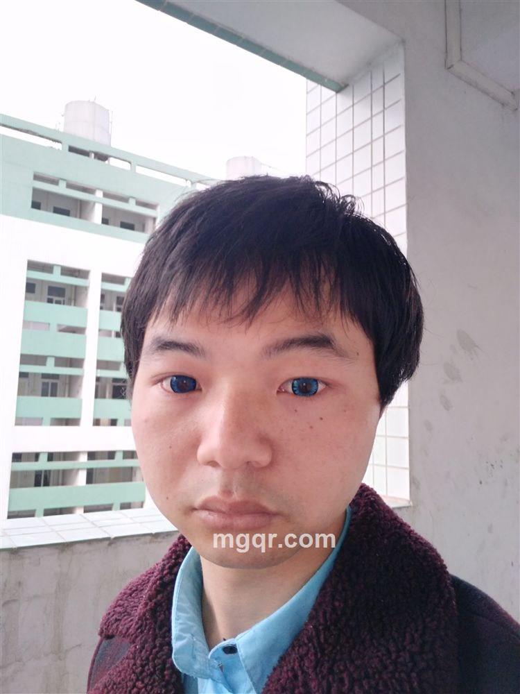 系召