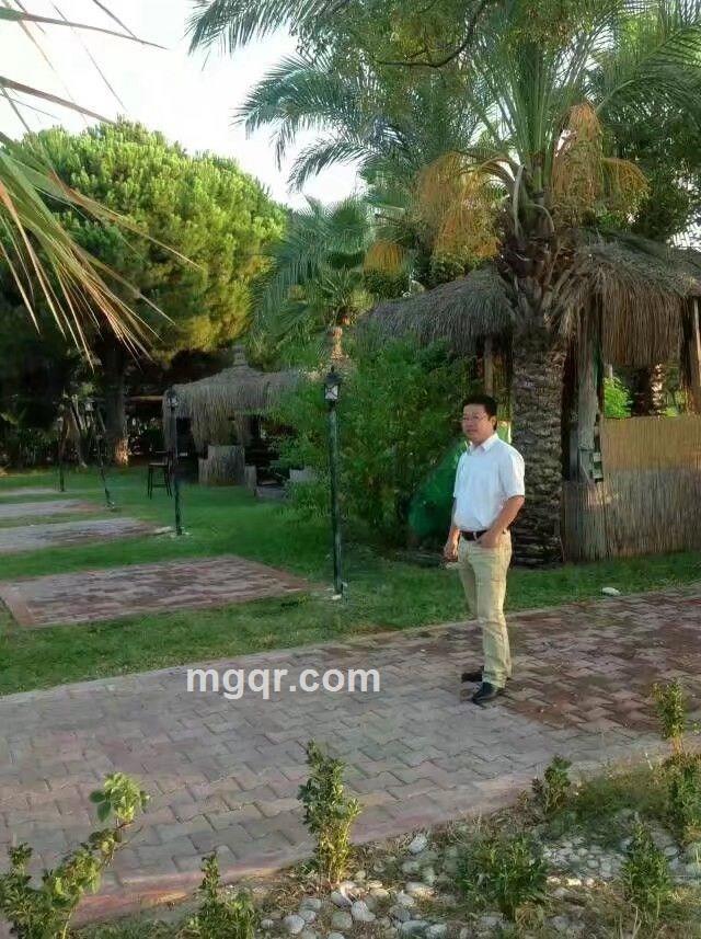 桥边等爱的头像