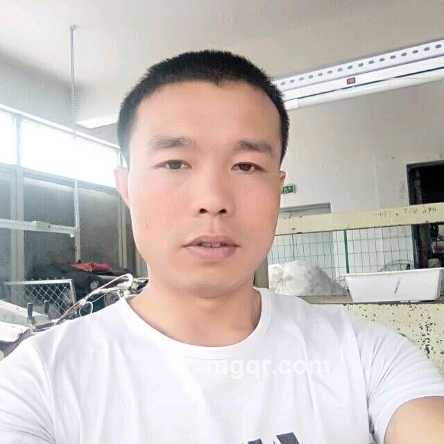 北方的狼的头像