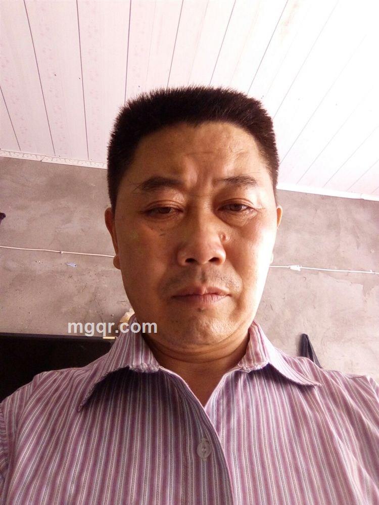 自由的鱼的头像