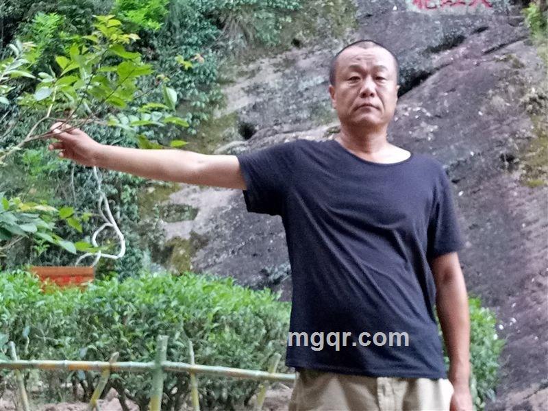 会员4441661的头像