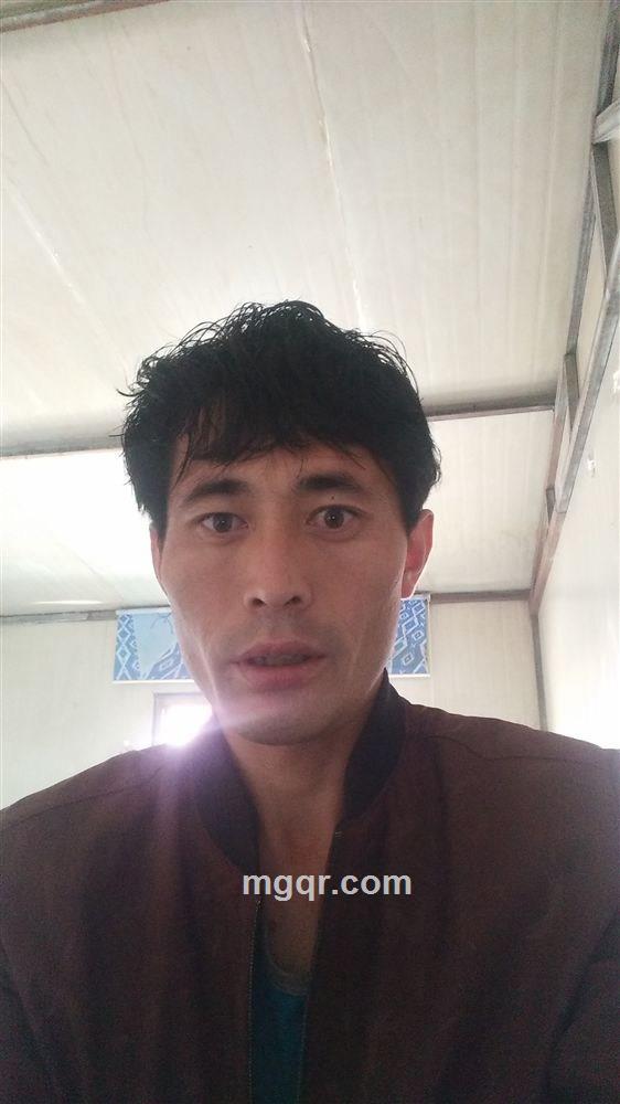 wangpeng的头像