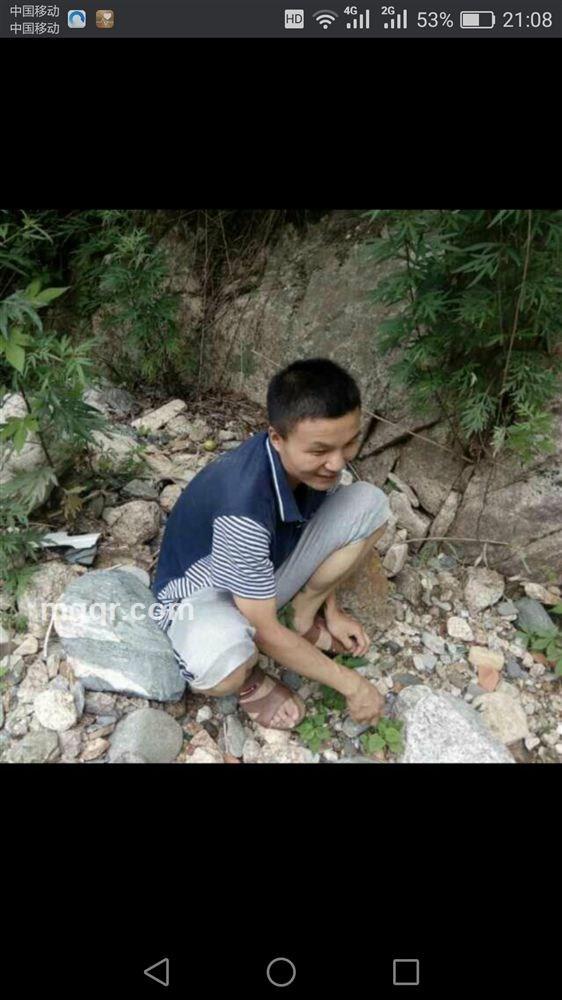 醉卧红尘的头像