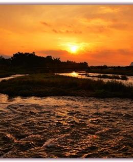 一世繁花的头像