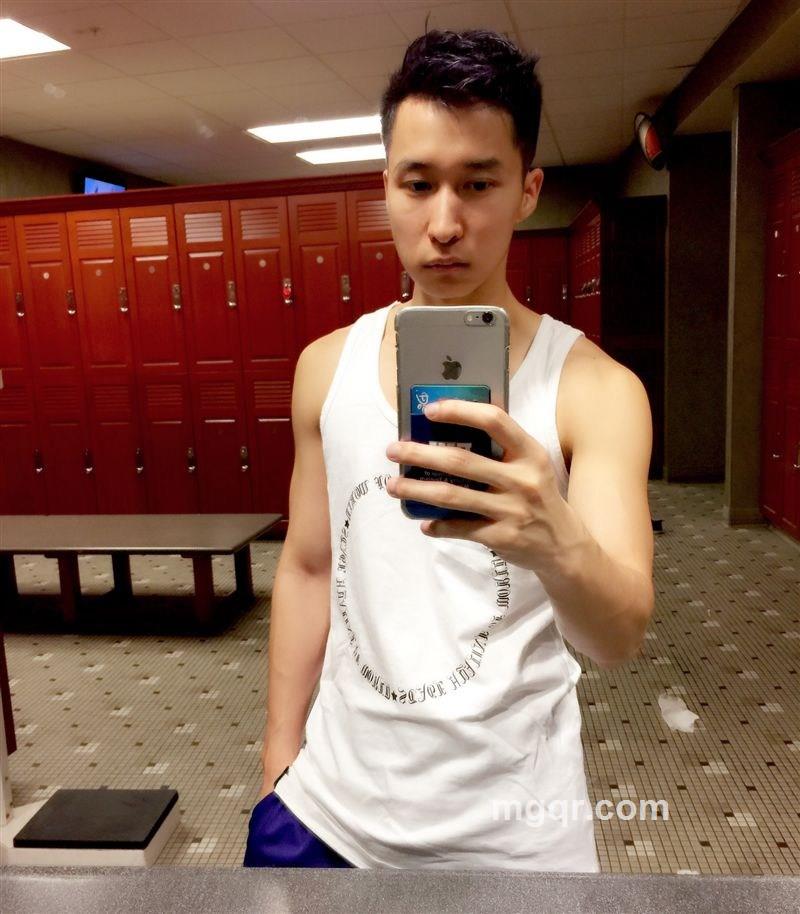 吃葡萄的狐狸的头像