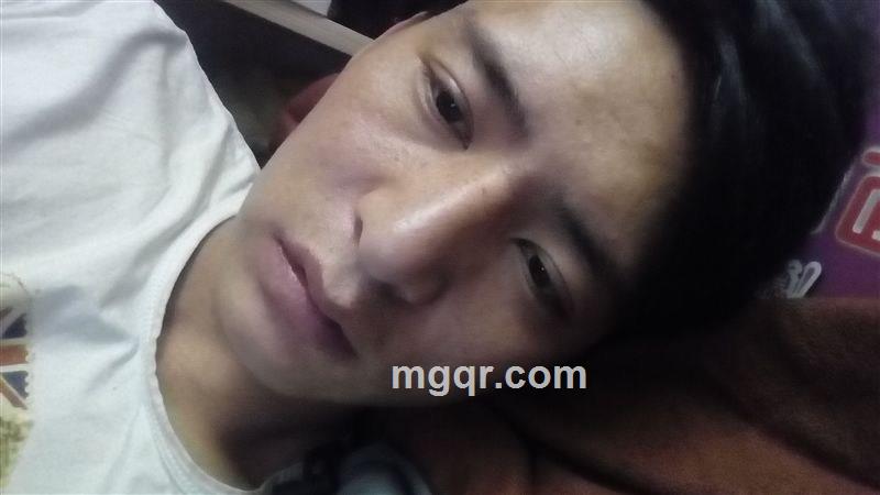 蒲公英的约定的头像