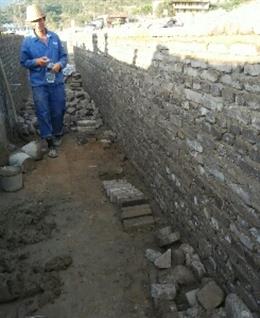 没有水的鱼的头像