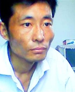 爱砍树的光头强的头像